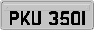 PKU3501
