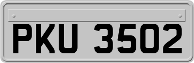 PKU3502