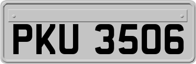 PKU3506