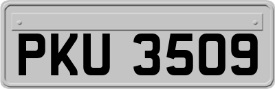 PKU3509
