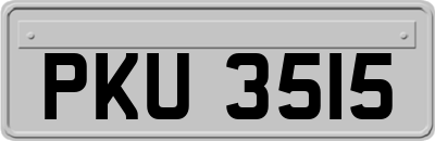 PKU3515