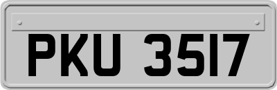 PKU3517