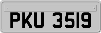 PKU3519