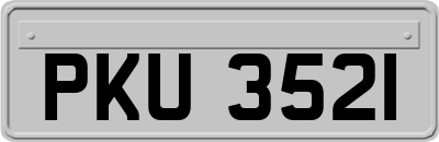 PKU3521
