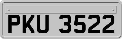PKU3522