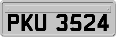 PKU3524