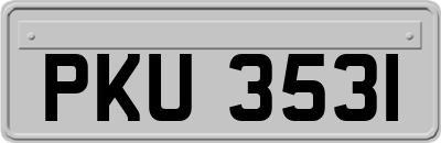 PKU3531