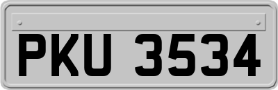 PKU3534