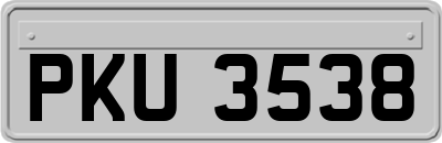 PKU3538