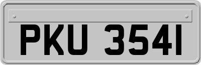 PKU3541