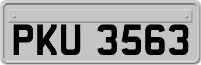 PKU3563