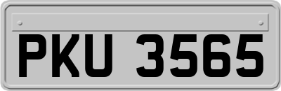PKU3565