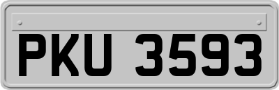 PKU3593