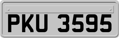 PKU3595