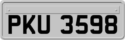 PKU3598