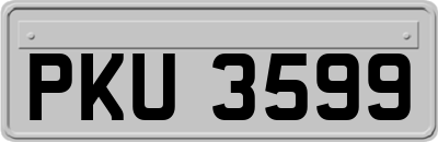PKU3599