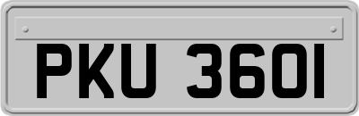 PKU3601
