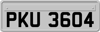 PKU3604