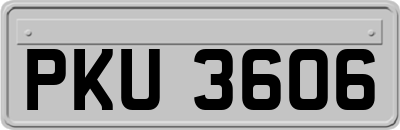 PKU3606