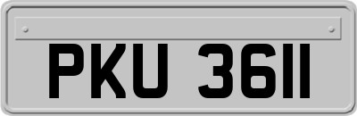 PKU3611