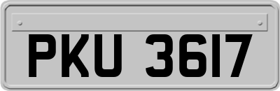 PKU3617