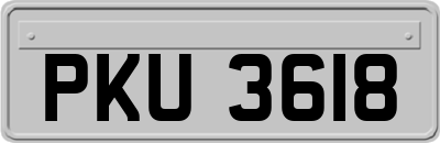 PKU3618