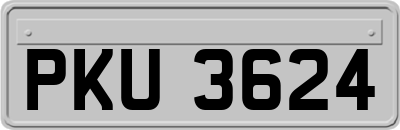 PKU3624