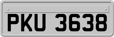 PKU3638