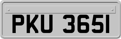 PKU3651