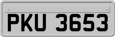 PKU3653