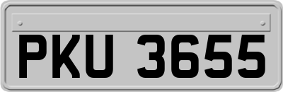 PKU3655