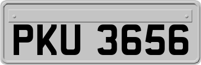 PKU3656