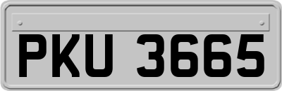 PKU3665