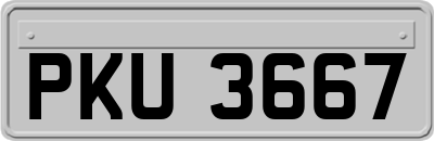 PKU3667