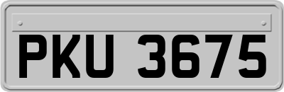 PKU3675