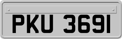 PKU3691