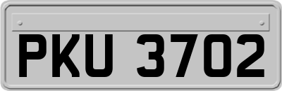 PKU3702