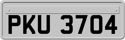 PKU3704