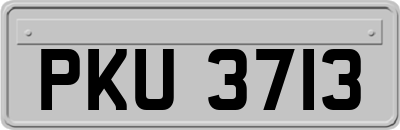 PKU3713