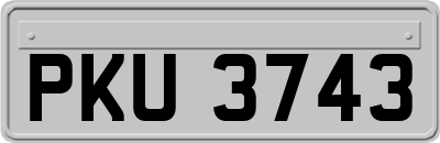 PKU3743