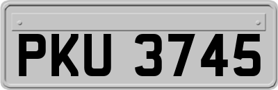 PKU3745