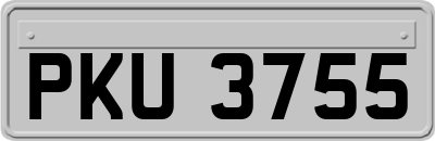 PKU3755