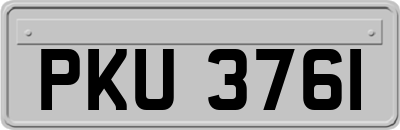 PKU3761