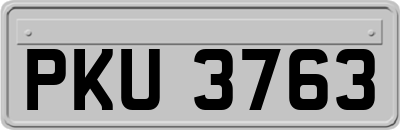 PKU3763