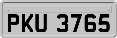 PKU3765