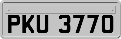 PKU3770