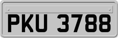 PKU3788