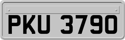 PKU3790