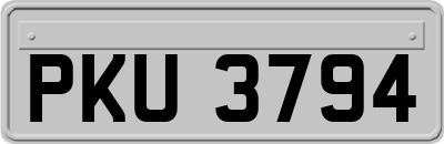 PKU3794