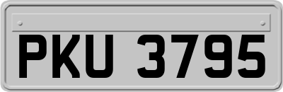 PKU3795